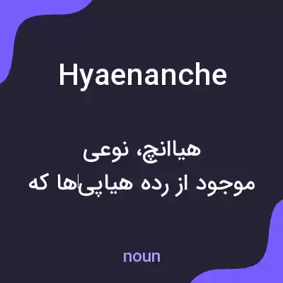 معنی hyaenanche به فارسی معنی hyaenanche به فارسی