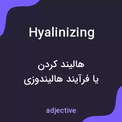 معنی hyalinizing به فارسی معنی hyalinizing به فارسی