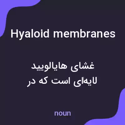 معنی hyaloid membranes به فارسی معنی hyaloid membranes به فارسی