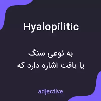 معنی hyalopilitic به فارسی معنی hyalopilitic به فارسی