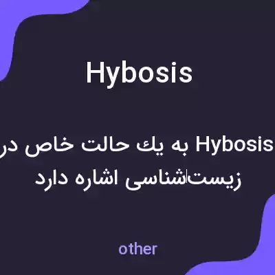 معنی hybosis به فارسی معنی hybosis به فارسی