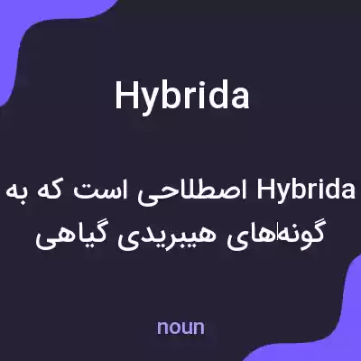 معنی hybrida به فارسی