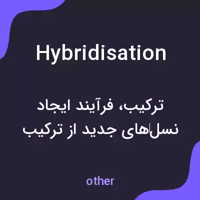 معنی hybridisation به فارسی معنی hybridisation به فارسی