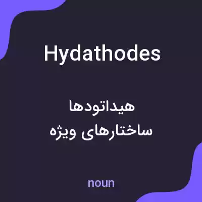 معنی hydathodes به فارسی معنی hydathodes به فارسی