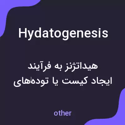 معنی hydatogenesis به فارسی معنی hydatogenesis به فارسی
