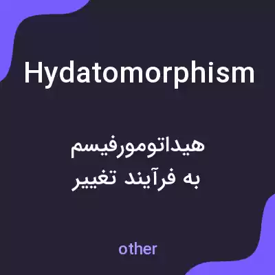 معنی hydatomorphism به فارسی معنی hydatomorphism به فارسی