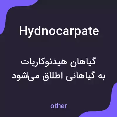 معنی hydnocarpate به فارسی معنی hydnocarpate به فارسی