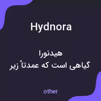 معنی hydnora به فارسی معنی hydnora به فارسی