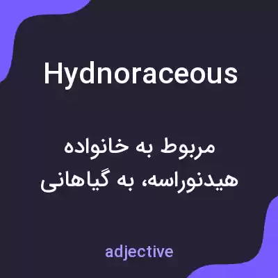 معنی hydnoraceous به فارسی معنی hydnoraceous به فارسی