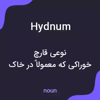 معنی hydnum به فارسی