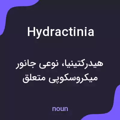 معنی hydractinia به فارسی معنی hydractinia به فارسی