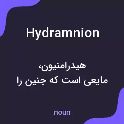 معنی hydramnion به فارسی معنی hydramnion به فارسی