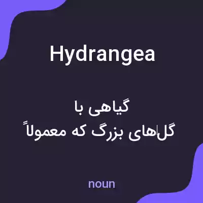 معنی hydrangea به فارسی
