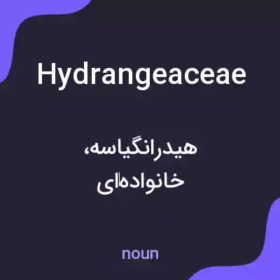 معنی hydrangeaceae به فارسی معنی hydrangeaceae به فارسی