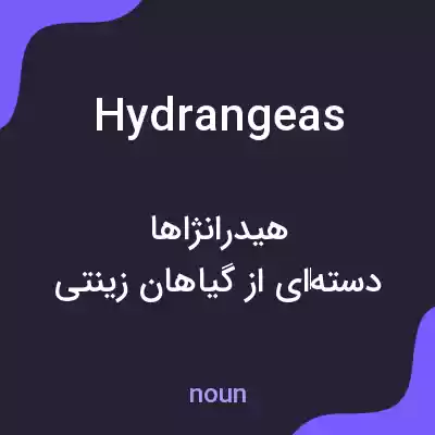 معنی hydrangeas به فارسی معنی hydrangeas به فارسی
