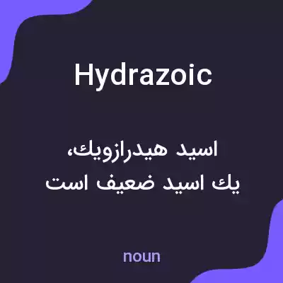 معنی hydrazoic به فارسی معنی hydrazoic به فارسی