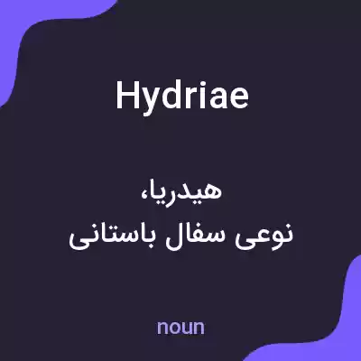 معنی hydriae به فارسی