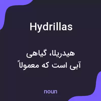 معنی hydrillas به فارسی معنی hydrillas به فارسی