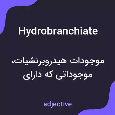 معنی hydrobranchiate به فارسی معنی hydrobranchiate به فارسی