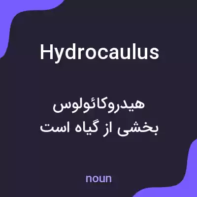 معنی hydrocaulus به فارسی معنی hydrocaulus به فارسی