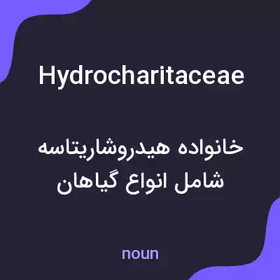 معنی hydrocharitaceae به فارسی معنی hydrocharitaceae به فارسی