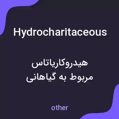 معنی hydrocharitaceous به فارسی معنی hydrocharitaceous به فارسی