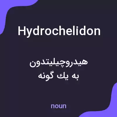 معنی hydrochelidon به فارسی معنی hydrochelidon به فارسی