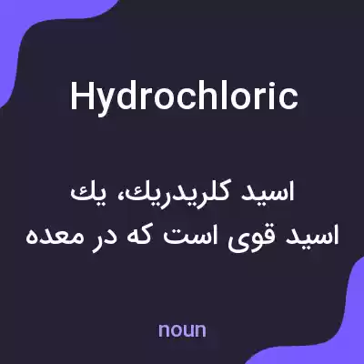 معنی hydrochloric به فارسی معنی hydrochloric به فارسی