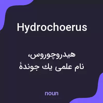 معنی hydrochoerus به فارسی معنی hydrochoerus به فارسی