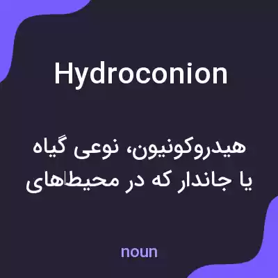 معنی hydroconion به فارسی معنی hydroconion به فارسی