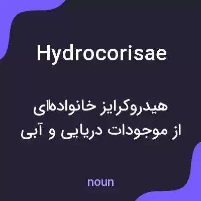 معنی hydrocorisae به فارسی معنی hydrocorisae به فارسی