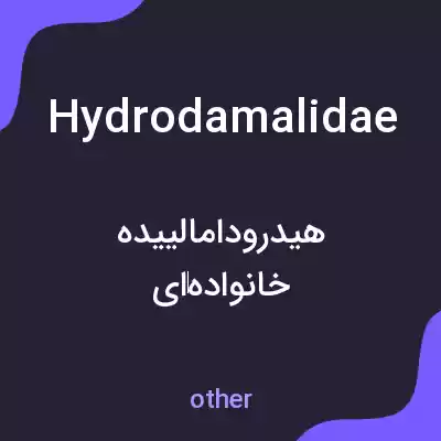 معنی hydrodamalidae به فارسی معنی hydrodamalidae به فارسی