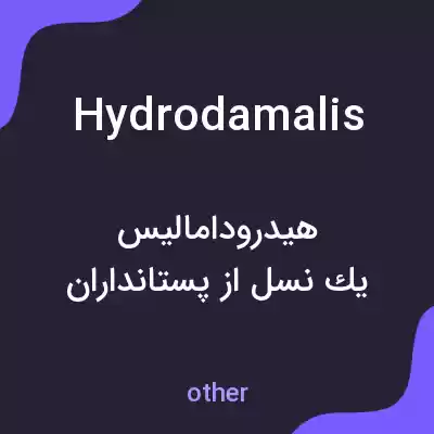 معنی hydrodamalis به فارسی معنی hydrodamalis به فارسی