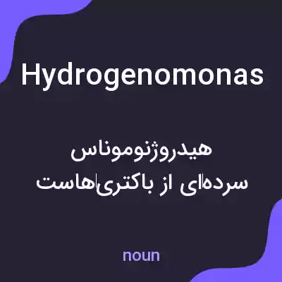 معنی hydrogenomonas به فارسی معنی hydrogenomonas به فارسی