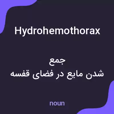 معنی hydrohemothorax به فارسی معنی hydrohemothorax به فارسی