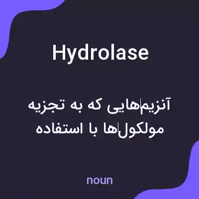 معنی hydrolase به فارسی معنی hydrolase به فارسی