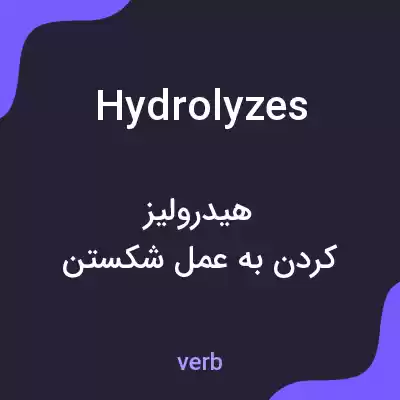 معنی hydrolyzes به فارسی معنی hydrolyzes به فارسی