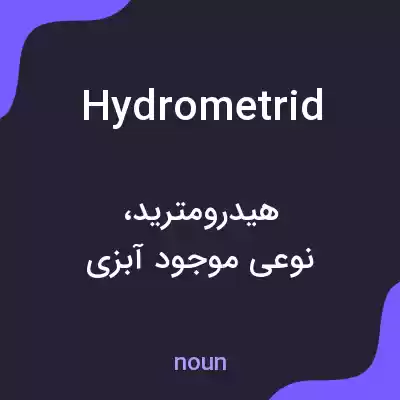 معنی hydrometrid به فارسی معنی hydrometrid به فارسی
