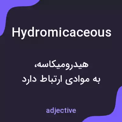 معنی hydromicaceous به فارسی معنی hydromicaceous به فارسی
