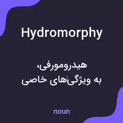 معنی hydromorphy به فارسی معنی hydromorphy به فارسی