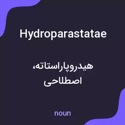 معنی hydroparastatae به فارسی معنی hydroparastatae به فارسی