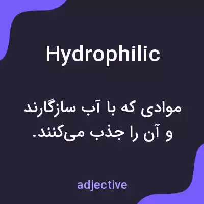 معنی hydrophilic به فارسی معنی hydrophilic به فارسی
