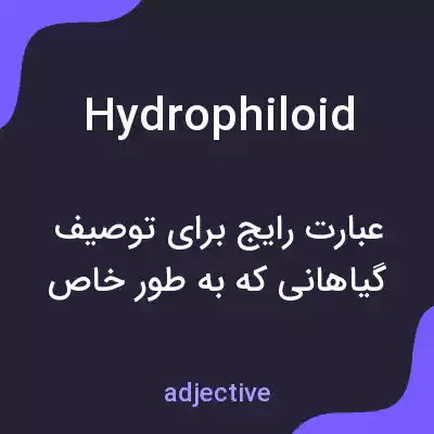 معنی hydrophiloid به فارسی معنی hydrophiloid به فارسی