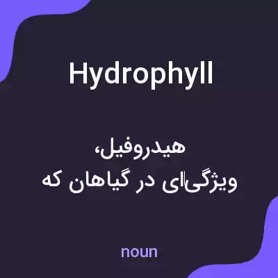 معنی hydrophyll به فارسی معنی hydrophyll به فارسی