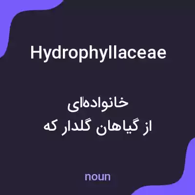 معنی hydrophyllaceae به فارسی معنی hydrophyllaceae به فارسی