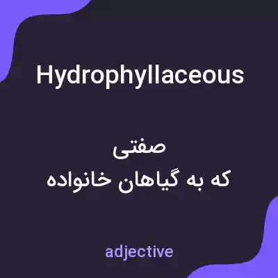 معنی hydrophyllaceous به فارسی معنی hydrophyllaceous به فارسی