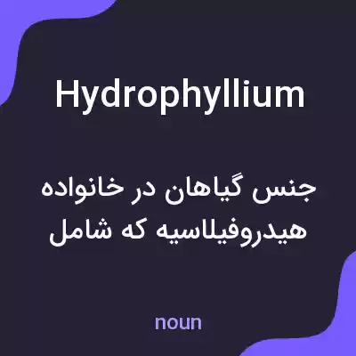 معنی hydrophyllium به فارسی معنی hydrophyllium به فارسی