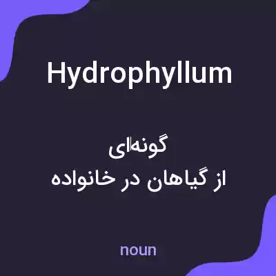 معنی hydrophyllum به فارسی معنی hydrophyllum به فارسی