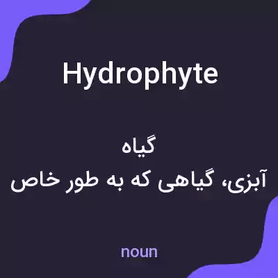 معنی hydrophyte به فارسی معنی hydrophyte به فارسی
