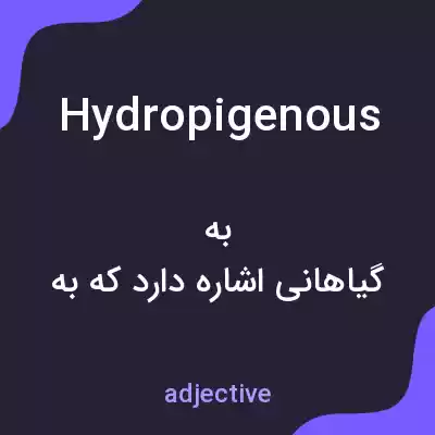 معنی hydropigenous به فارسی معنی hydropigenous به فارسی